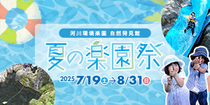 夏の楽園祭
