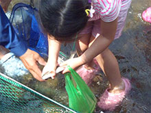 マスのつかみ取り