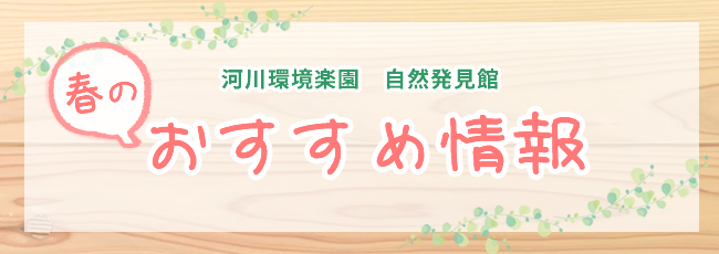 春のおすすめ情報 イベント情報 河川環境楽園 木曽川水園 自然発見館 国営木曽三川公園