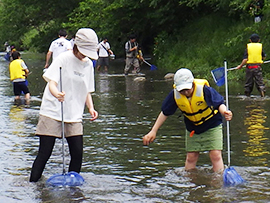 秋の木曽川の生きもの探し