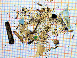 【地球環境問題ワークショップ】マイクロプラスチック