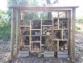 春の連続講座 観察しよう！インセクトハウスに暮らす生きもの