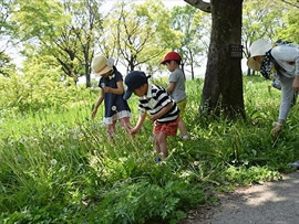 ちびっこさんぽ ～秋の草花で遊ぼう～～