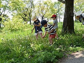 ちびっこさんぽ～秋の草花で遊ぼう～
