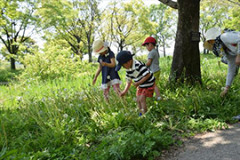 びっこさんぽ～夏の草花で遊ぼう～