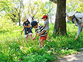 ちびっこさんぽ~秋の草花で遊ぼう~