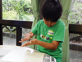 土と水が混ざったら、丸めてドロ団子を作り、色付けします。