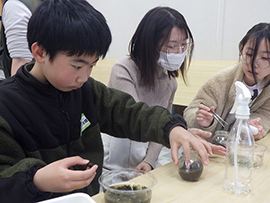コケを知ろう！コケ観察とコケリウムづくり