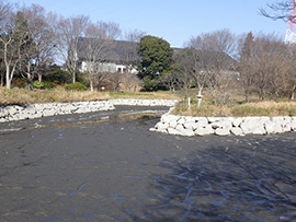 木曽川水園の水抜き清掃