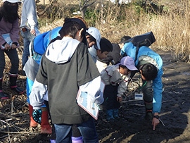 冬の連続講座　野生動物の生活のぞき隊　～水抜き中の木曽川水園～
