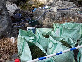 木曽川水園の水抜き清掃