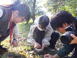 コケを知ろう！コケ観察とコケリウム