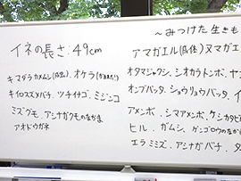 田んぼクラブ