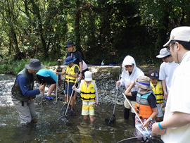 夏の木曽川の生きものさがし