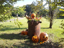 ハロウィン花のオブジェ展