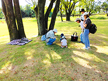 フラワーパーク平日のおさんぽ会　森のこども園
