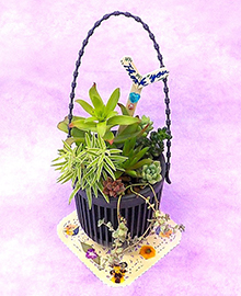 ミニ多肉植物の寄せ植え