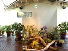 あじさい展