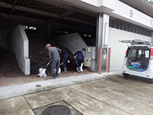 堆肥の無料配布
