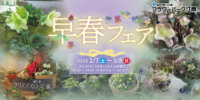 早春フェア