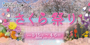 さくら祭り
