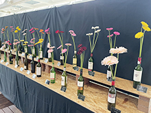 ガーベラ&スイートピー展