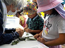 ふれあいまつり「子供の縁日」