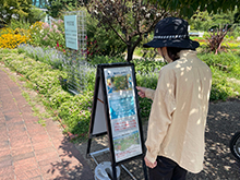 夏のクイズラリー