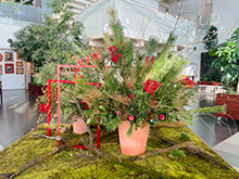 お正月オブジェ登場！ 