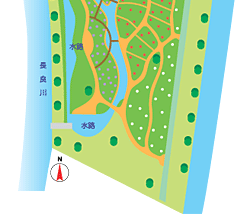 船頭平河川公園マップ