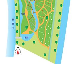 施設紹介 船頭平河川公園 国営木曽三川公園 施設紹介 船頭平河川公園 国営木曽三川公園