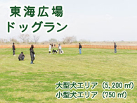 期間限定 東海広場ドッグラン 東海広場 国営木曽三川公園