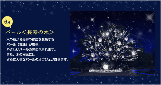 6月パール 長寿の木 木や枝から長寿や健康を意味するパール（真珠）が輝き、やさしいパールの光に包まれます。また、木の根元にはさらに大きなパールのオブジェが輝きます。