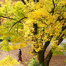 もくパラ自然観察会