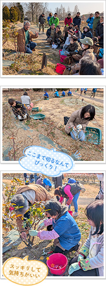 目からウロコ！バラの冬季剪定講習会