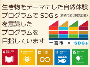 SDGs