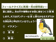 フィールドクイズに挑戦～冬の生き物編～