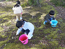 プチボランティア　木の実を拾おう！