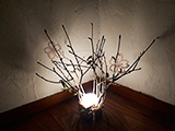 「桜の枝でランプシェードを作ろう」