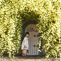 モッコウバラのフォトスポット