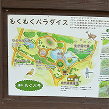 （1）　もくパラ自然観察会