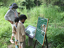 フィールドクイズに挑戦～夏の生き物編～