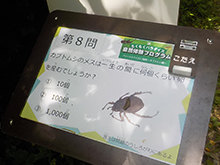 フィールドクイズに挑戦～夏の生き物編～