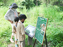 フィールドクイズに挑戦~夏の生き物編~