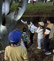 138昆虫調査隊 夜の公園探検編
