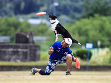 DISC DOG