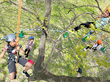ロープで木登り！ツリーイング