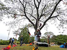 ロープで木登り！ツリーイング