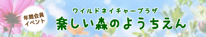 サリオパーク祖父江・楽しい森のようちえん